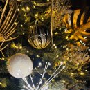 스텔라 펜션 이미지