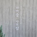 공주 계룡산 인근 동학사맛집 편백숲샤브길 동학사점에서 즐긴 1인 샤브샤브 후기