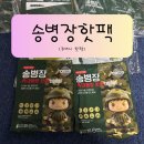 송*철 | 겨울 필수템, 핫팩대량구매 고민 끝 : 군입대준비물로도 인기 있는 송병장핫팩 솔직 후기