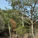 캠프오후4시 이미지