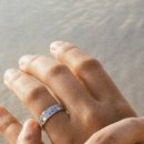 스테이서귀 이미지