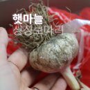 고기한보따리 - 연제구 안연로 33 | 햇마늘 산지직송 싱싱보따리 의성마늘 통마늘 구매 요리 후기