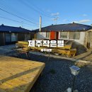 제주작은별 이미지