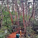 치악산둘레길 11코스 한가터길 이미지