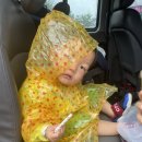 솔밭지 | 삼척해양레일바이크 용화정거장 비오는 날 탑승후기