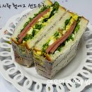 여우소풍 이미지