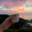 다인농업협동조합 | 대마도 1박 2일 패키지, 10만 원대 온천, 관광, 쇼핑까지 직접 다녀온 상세 후기✨️