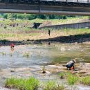 가천교화장실 이미지