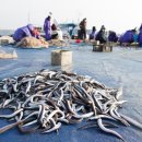 동해진미 이미지