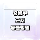 강남수병원 | 서울 강남구 근처 동물병원 잘하는곳 추천 정보 새벽 강아지 고양이 수술 치료 비용 가격 24시 토요일 후기