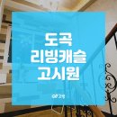 도곡리빙캐슬고시원