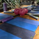 (주)비스코 헬스케어 | 광장동헬스장 비스코헬스케어 광장클럽 PT 후기