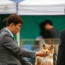 아이즈 오브 엔젤 이미지