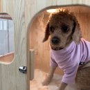 탄현유치원