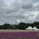 양주체육복지센터부설주차장 | 2025 양주 나리농원 천일홍축제 현상황