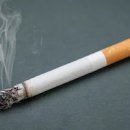 담배 니코틴 중독 | 흡연 행동이 반복되는 이유 이미지