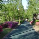 호수공원3로 이미지