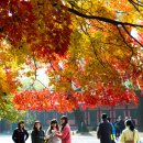 봄,여름,가을,겨울 이미지