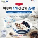 요거트가족 이미지