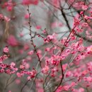 시립미술관(팔각정) 이미지