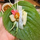 속초 오징어 어시장 | 강남역횟집 강남맛집 속초 오징어어시장 후기