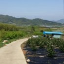 제석농장 이미지