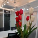 대구창업센터송홍길 | 수성구 개인 법인 비상주사무실 공유오피스 상주사무실/부동산계약서 안전하고 빠르게/"비즈온24"