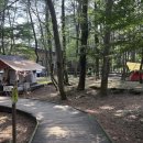 붉은오름자연휴양림 이미지