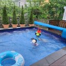 나진스테이 풀빌라 이미지