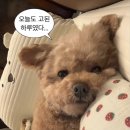 세종자동차정비공업사 이미지