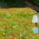 용수골농장 이미지