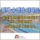 매일센트럴자이(단지내)공인중개사사무소 | 평택 수영장이 있는 아파트 소개(센트럴자이3단지, 고덕 제일풍경채, 브레인시티 푸르지오)