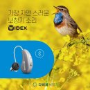 다비치히어링 두실점 이미지