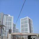 호반세탁 | 구미줄눈 호반써밋 재시공 완성도 차이 후기