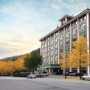 에덴골프아카데미 | 골프레슨 화이트스톤 골프연습장 가평 청평면 가격 위치 주소 주차 후기 추천