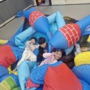 드림 태권도 이미지