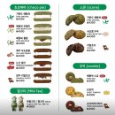 광주-송정-4 | 광주 송정역 맛집 쑥스초코파이, 기념품 선물로도 좋은 디저트