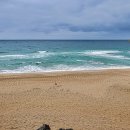 증산~삼척해변 이미지