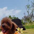 도기키친 프롬제주 이미지