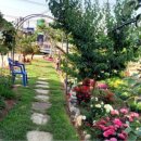 참새골농원 이미지