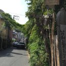 용호1동골목시장 | 부산 남천녹차팥빙수 디저트는 먹어야죠