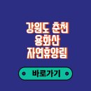 (사)태백생명의숲 | 강원도 춘천 용화산 자연휴양림 야영데크 휴양관 연립동 숲속수련장 예약, 바베큐 가능 여부 (+맛집)