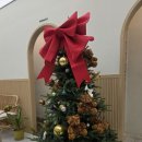 개월 | 군자동 헬스장 - 위아짐 헬스&amp;PT, n개월 다니고 있는 후기