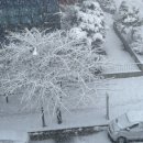 파도수산 앞 | 안산 한대앞역 방어맛집 “파도수산” 방어(대)사이즈 내돈내산 솔직후기