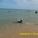 수박이네 이미지