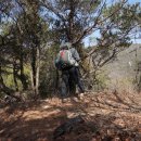 지리산 외갓집 이미지