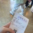 여수예술랜드 | 여수 아이랑 가기 좋은 여수예술랜드 후기 | 카트체험, 타워링