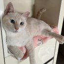 연필그림중급 | 🔥 2025 🔥