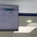 나무동물병원 | 양주 로뎀나무동물의료센터 우리 강아지 맥심이 낭종,치석제거 수술 후기