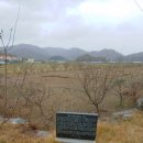 진도 금갑진성 이미지